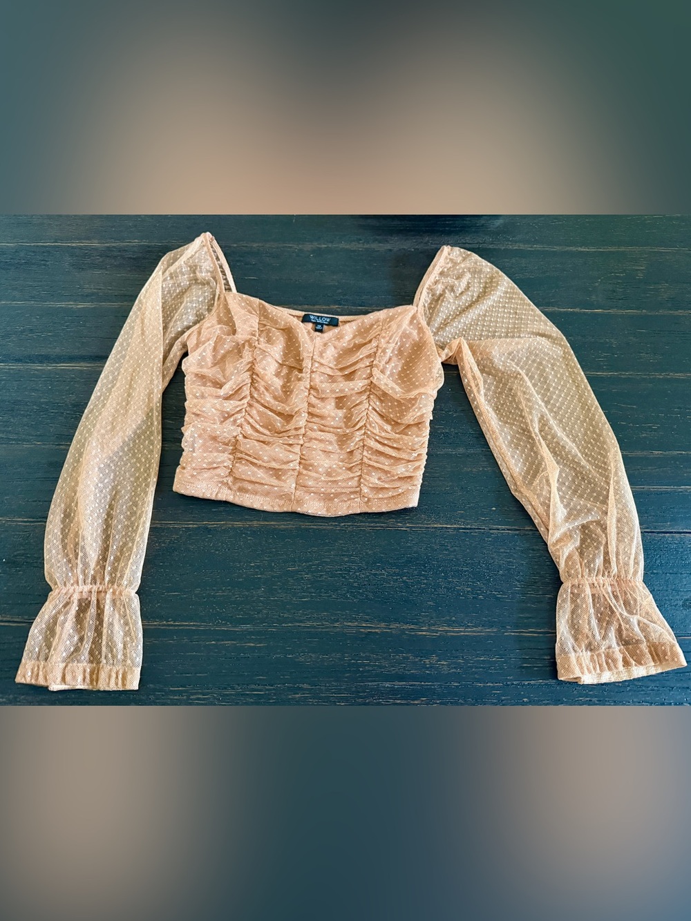 Willow & Clay Blush Nude Ruched Mesh Long-Sleeve Crop Top